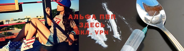 шишки Алексин